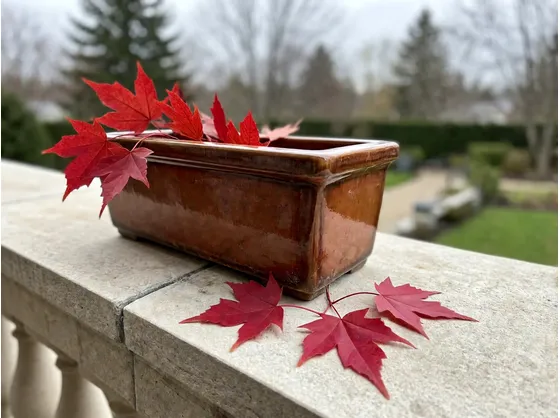 Perché la terracotta si crepa con il gelo e cosa vuol dire ingelivo