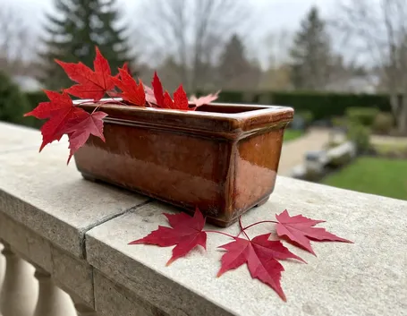 Perché la terracotta si crepa con il gelo e cosa vuol dire ingelivo
