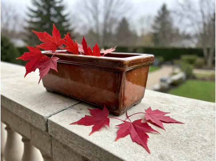 Perché la terracotta si crepa con il gelo e cosa vuol dire ingelivo