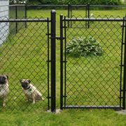 recinzioni per cani in giardino