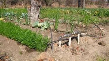 giardinoirrigazione2