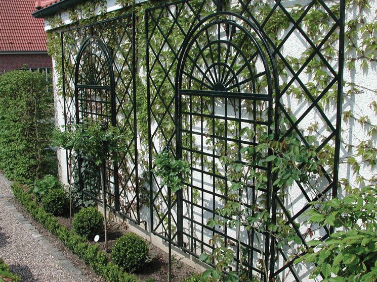 Griglie per rampicanti grigliati per giardino migliore griglie ... Fioriera ferro battuto per giardino