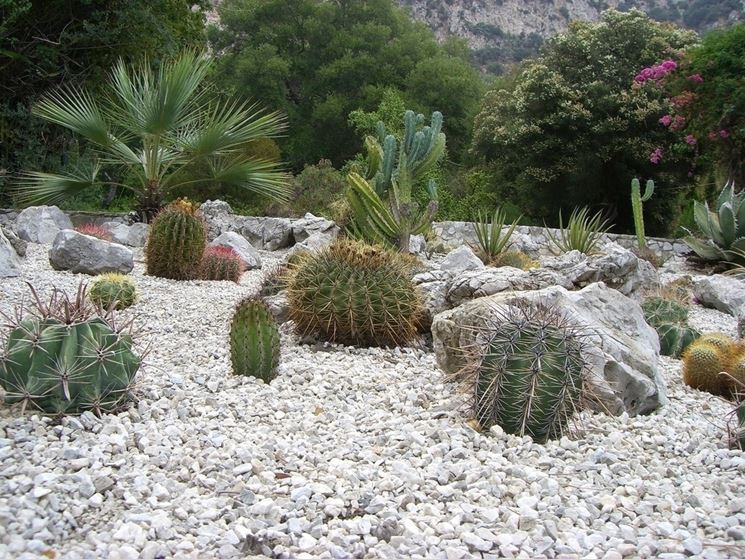 ghiaia per giardino con piante grasse